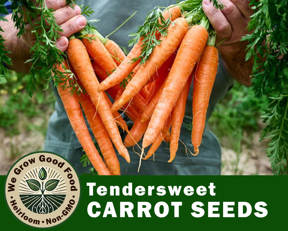 Carrot Seeds, Tendersweet