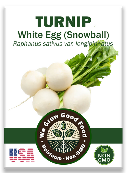 Turnip Seeds, White Egg