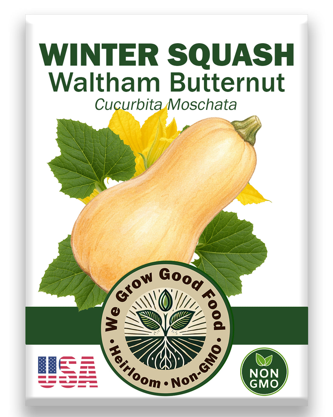 Winter Squash, Waltham Butternut Squash Seed Pack Cucurbita Moschata, mature healthy butternut squash, Non GMO and USA grown