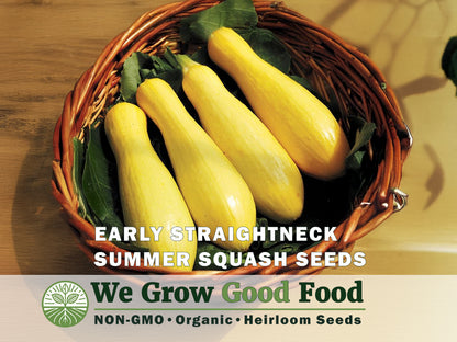 Ultimate Squash Collection – 9 Individually Packaged Varieties