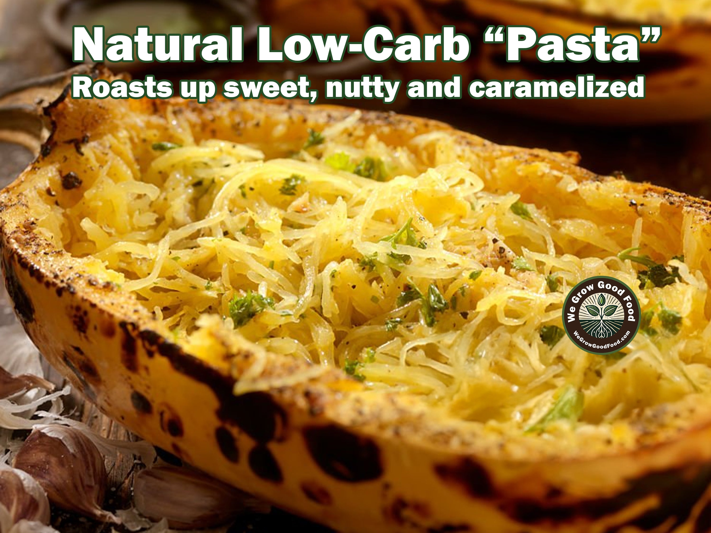 Ultimate Squash Collection – 9 Individually Packaged Varieties