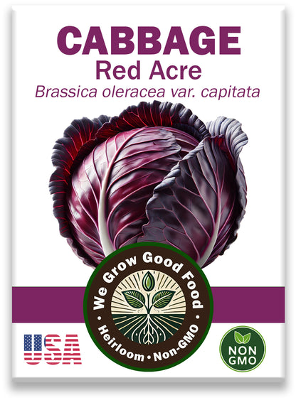 Red Acre Cabbage Seeds