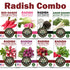 Radish Variety Seed Pack Combo with 8 labeled heirloom seed packets