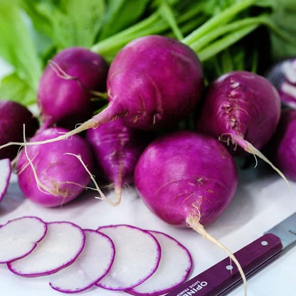Organic Sliced Purple Plum radish with deep purple skin and white interior